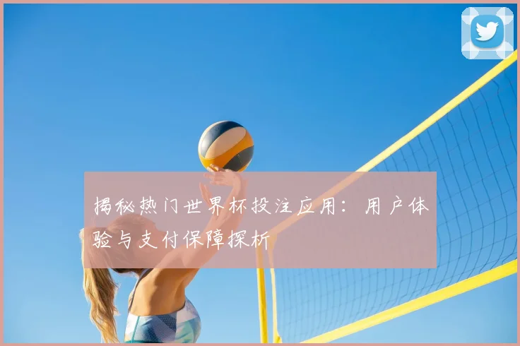 揭秘热门世界杯投注应用:用户体验与支付保障探析