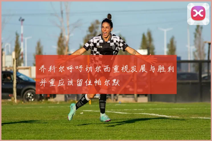 乔科尔呼吁切尔西重视发展与胜利并重应该留住帕尔默