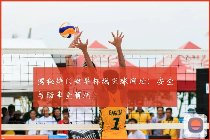 揭秘热门世界杯线买球网址：安全与赔率全解析