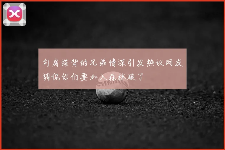 勾肩搭背的兄弟情深引发热议网友调侃你们要加入森林狼了
