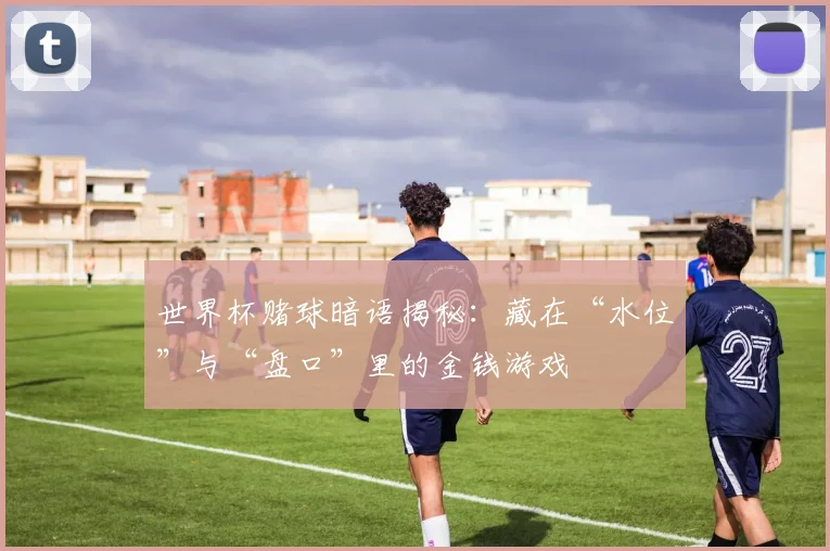 世界杯赌球暗语揭秘:藏在“水位”与“盘口”里的金钱游戏