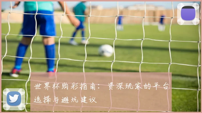 世界杯购彩指南：资深玩家的平台选择与避坑建议