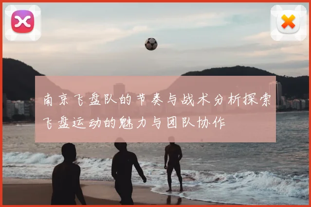 南京飞盘队的节奏与战术分析探索飞盘运动的魅力与团队协作