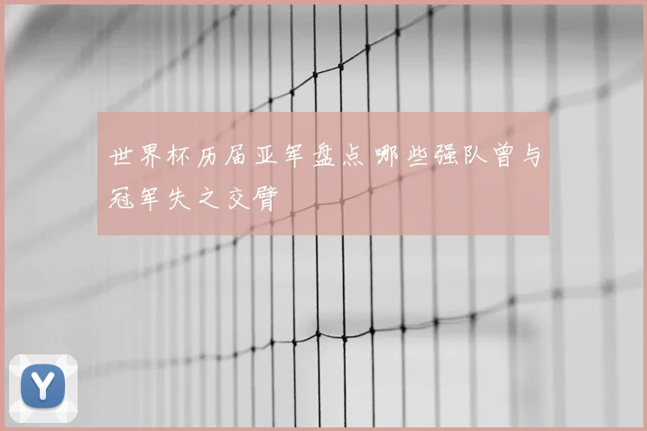 世界杯历届亚军盘点 哪些强队曾与冠军失之交臂