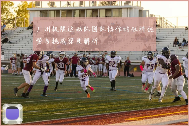 广州极限运动队团队协作的独特优势与挑战深度解析