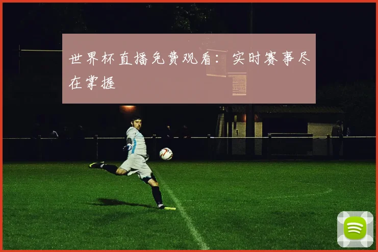 世界杯直播免费观看：实时赛事尽在掌握