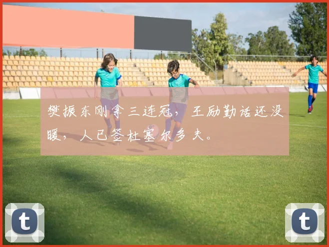 樊振东刚拿三连冠，王励勤话还没暖，人已签杜塞尔多夫。