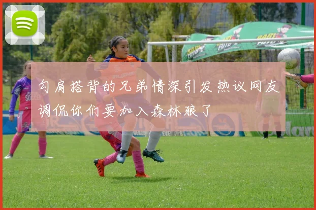 勾肩搭背的兄弟情深引发热议网友调侃你们要加入森林狼了