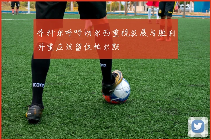乔科尔呼吁切尔西重视发展与胜利并重应该留住帕尔默