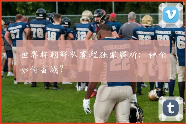 世界杯朝鲜队赛程独家解析：他们如何备战？