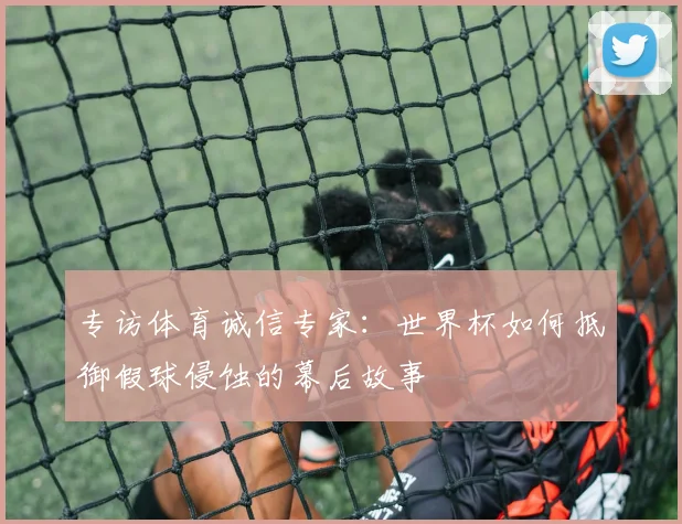 专访体育诚信专家:世界杯如何抵御假球侵蚀的幕后故事
