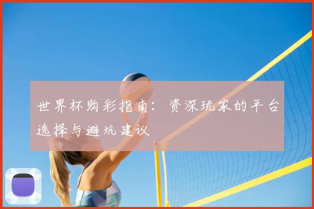 世界杯购彩指南：资深玩家的平台选择与避坑建议