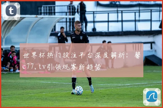 世界杯热门投注平台深度解析：馨c77,tv引领观赛新趋势