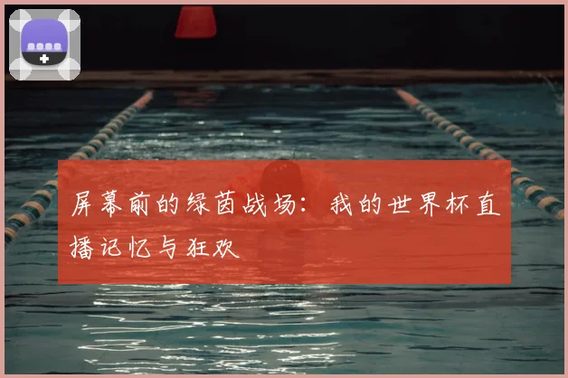 屏幕前的绿茵战场:我的世界杯直播记忆与狂欢
