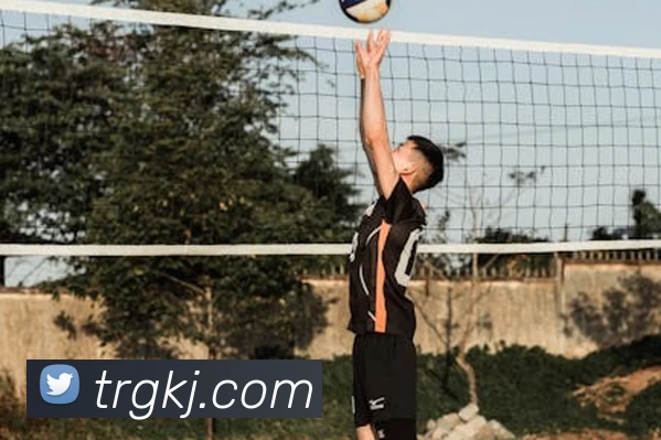 尊龙凯时发展历程